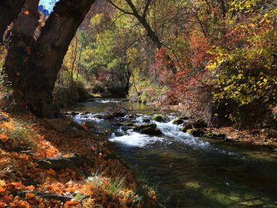 Estrechos-Guadalope-2